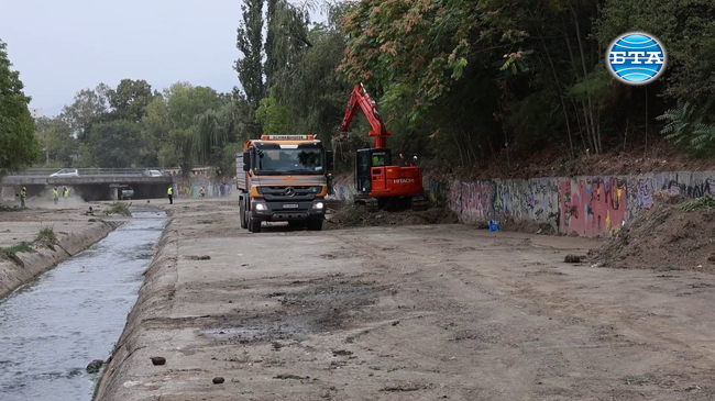 Половината от изсечените дървета на ул. "Опълченска" са инвазивни видове, не са ценни, заяви кметът на София Васил Терзиев