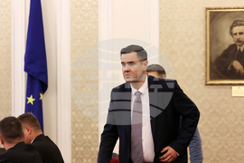 Парламент - Временна комисия за разглеждане на въпросите с недостига и високите цени на дървата - Никола Стоянов