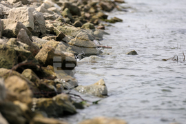 Русе - река Дунав - ниско ниво