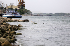 Русе - река Дунав - ниско ниво