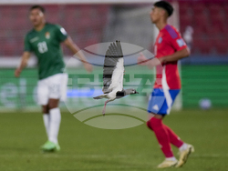 APTOPIX Chile Bolivia Wcup 2026 Soccer