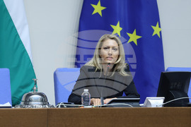 Парламент - заседание - Рая Назарян