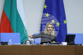 Парламент - заседание - Рая Назарян