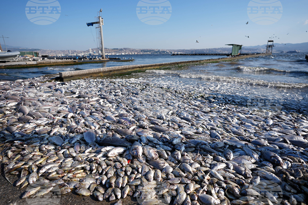 Turkish Environment Ministry Fines Izmir Metropolitan Municipality for Bay Pollution