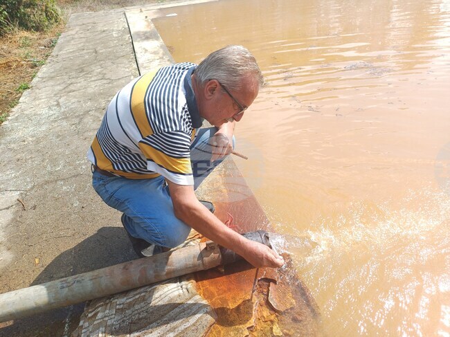 Според кмета на Шумен по разработването на минералната вода в с. Мараш се работи усилено, при спазване на закона 