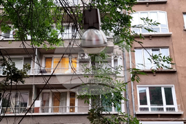 Паднало дърво