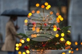 Дъждовно време