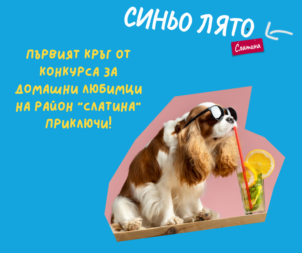 Приключи първият етап от конкурса за домашни любимци на район „Слатина“