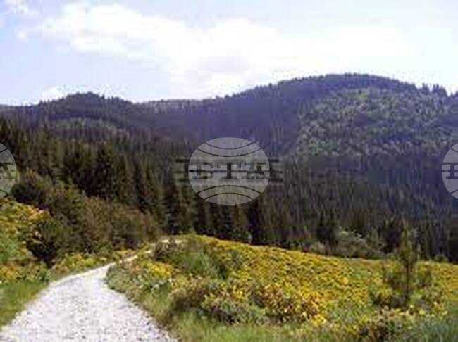 МИА: Македонски и български планинари изкачиха заедно връх Борова могила