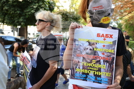 Протест в защита на бездомните животни