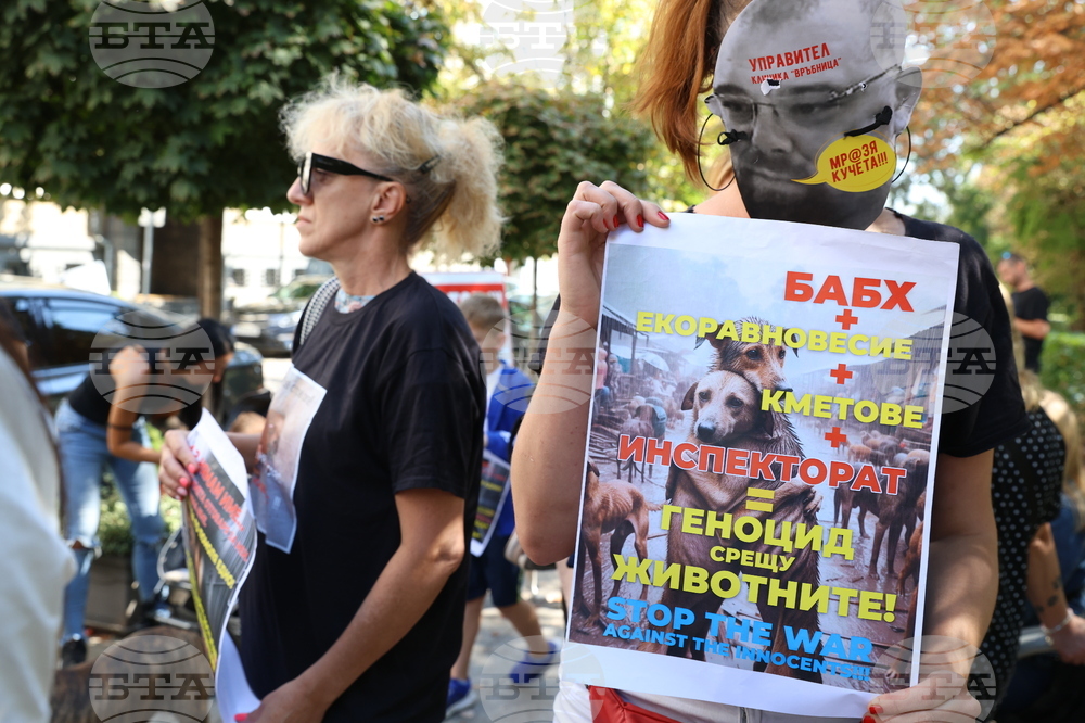 Протест в защита на бездомните животни