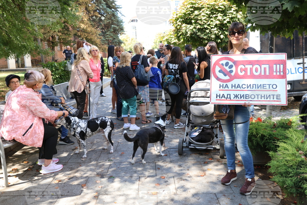 Протест в защита на бездомните животни