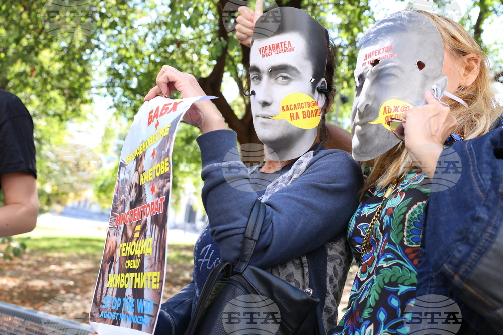 Протест в защита на бездомните животни