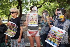 Протест в защита на бездомните животни