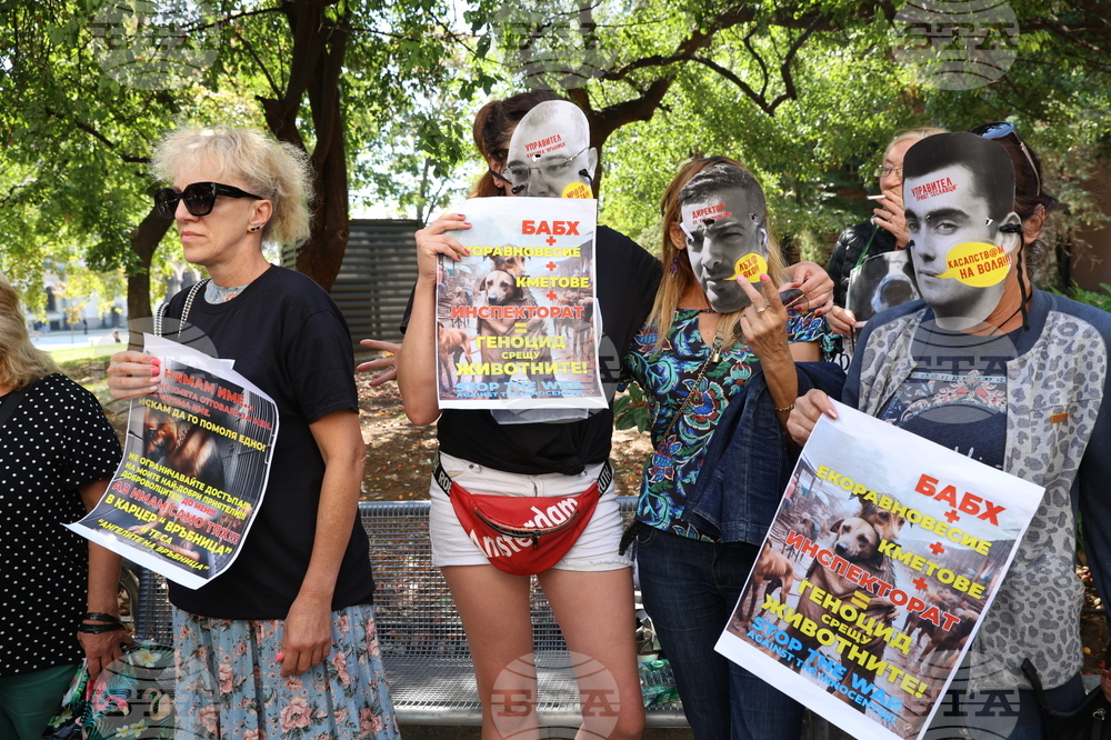 Протест в защита на бездомните животни