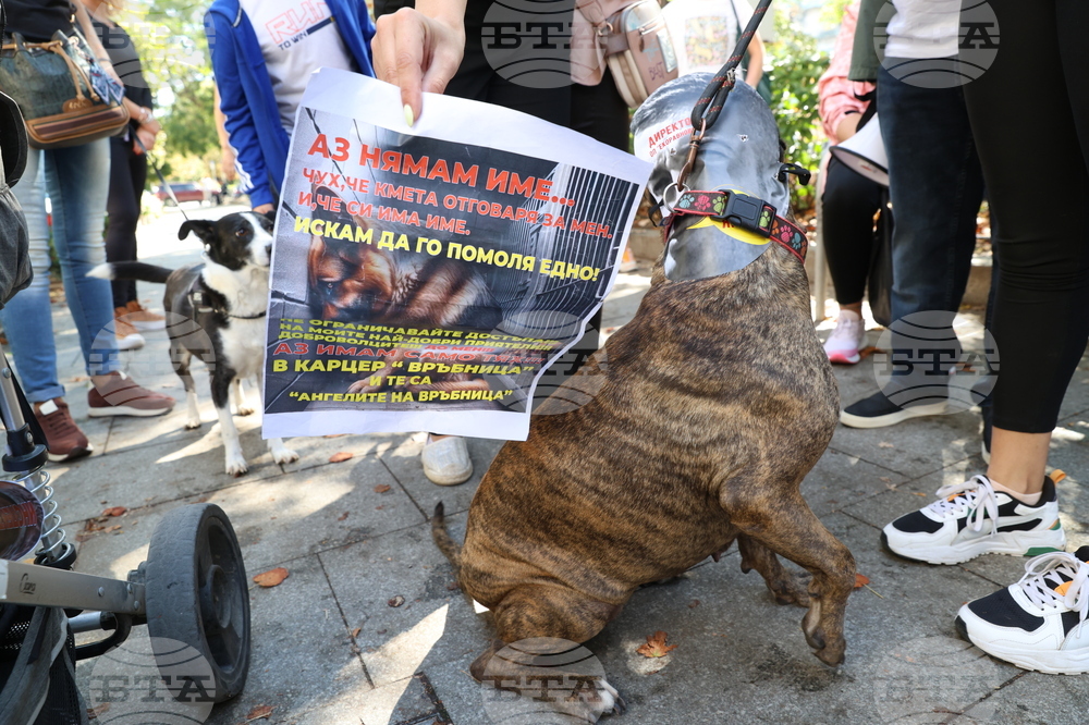 Протест в защита на бездомните животни