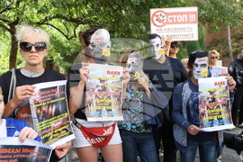 Протест в защита на бездомните животни