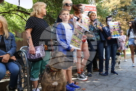 Протест в защита на бездомните животни