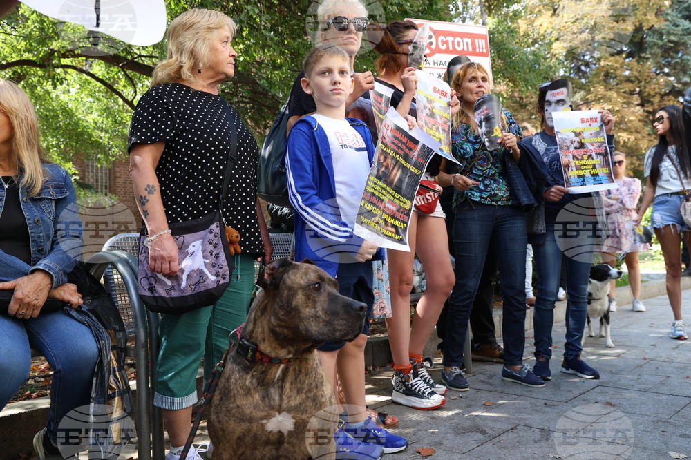 Протест в защита на бездомните животни