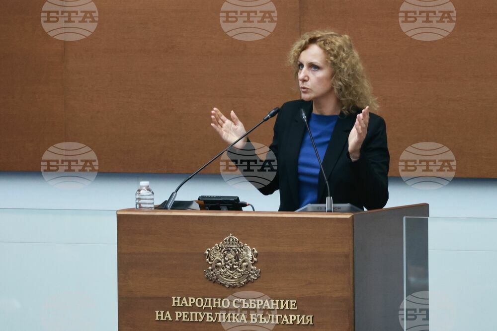 Парламент - заседание - Катя Панева