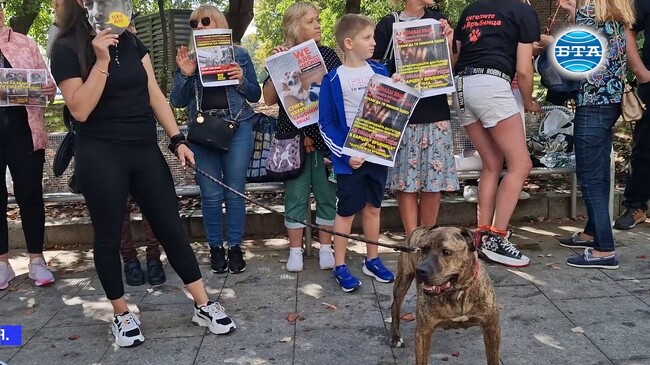 Граждани се събраха на протест пред Столичната община в защита на бездомните животни
