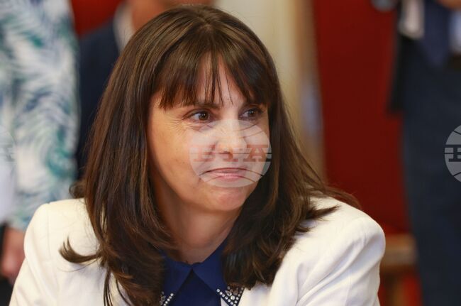 Social Economy in Bulgaria Provides over 85,000 People with Work, Incomes - Deputy Labour Minister