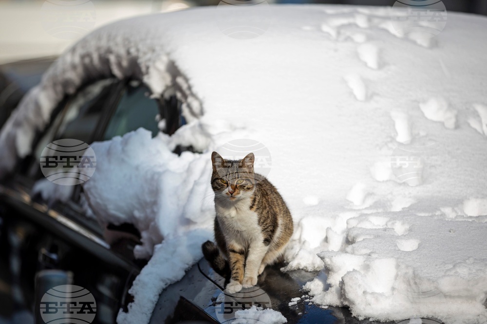 The Weather on March 9