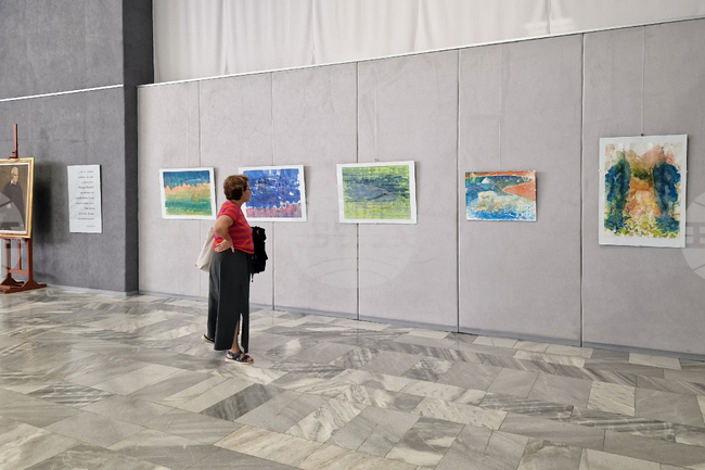 Търговище - Международен пленер за акварел „Никола Маринов“ - изложба