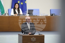 Парламент - парламентарен контрол - Димитър Главчев