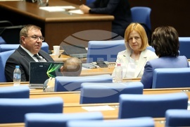 Парламент - парламентарен контрол