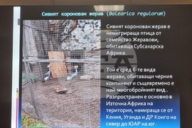 Плевен - Окръжна прокуратура - пресконференция