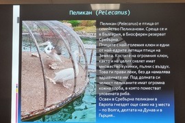 Плевен - Окръжна прокуратура - пресконференция