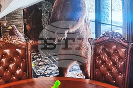 Плевен - Окръжна прокуратура - пресконференция