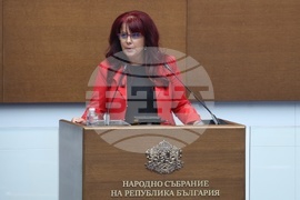 Парламент - парламентарен контрол - Петя Цанкова