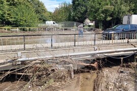 Белослав - валежи - почистване