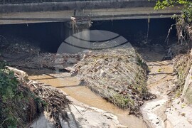 Белослав - валежи - почистване