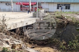 Белослав - валежи - почистване