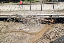 Белослав - валежи - почистване