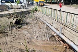 Белослав - валежи - почистване