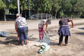 Белослав - валежи - почистване