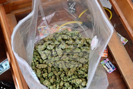 Варна - полиция - наркооранжерия