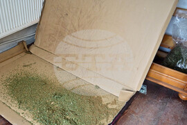 Варна - полиция - наркооранжерия