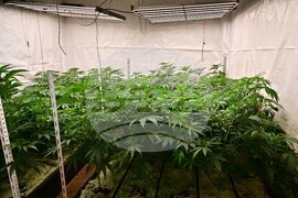 Варна - полиция - наркооранжерия