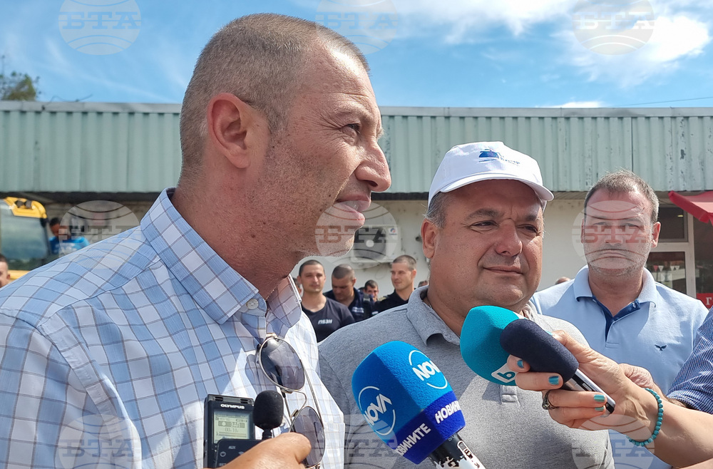 Белослав - валежи - почистване - Петър Димитров