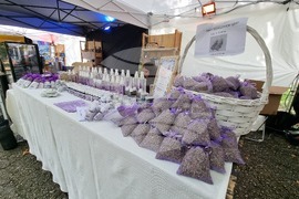 Сливен - Фестивал на стоте войводи