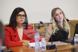 Народно събрание - Временна комисия - заседание