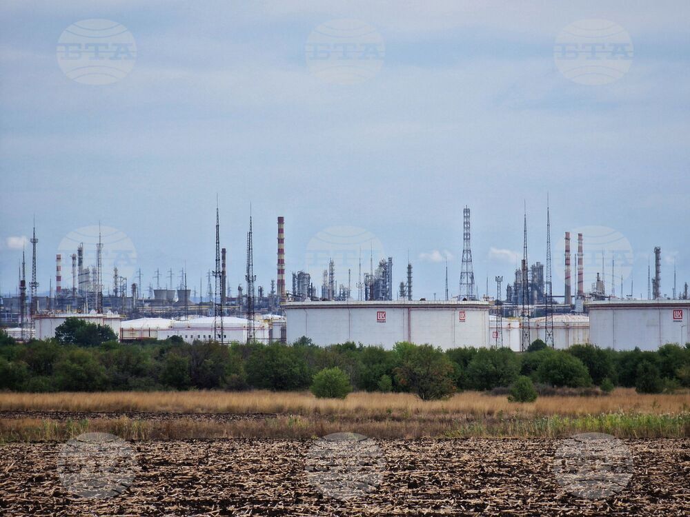 На територията на производствената площадка на "Лукойл Нефтохим Бургас" са установени над 170 вида птици