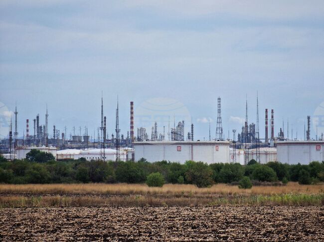 На територията на производствената площадка на "Лукойл Нефтохим Бургас" са установени над 170 вида птици