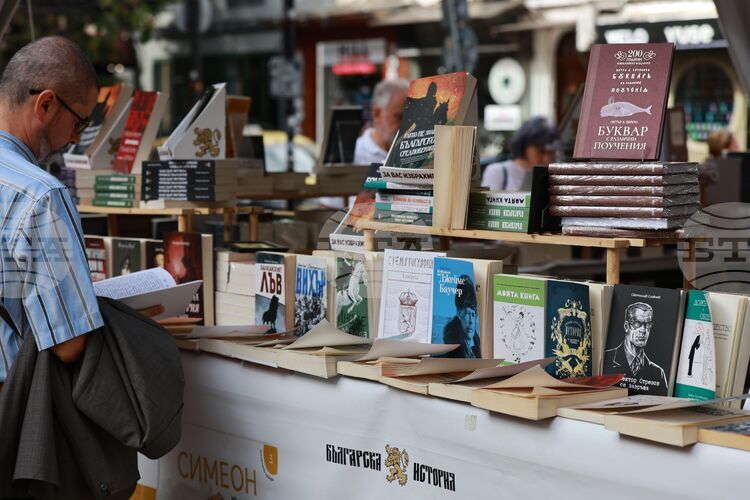 8,800-Plus Books Published in 2024 with Nearly 5.3 Mln Copies in Circulation