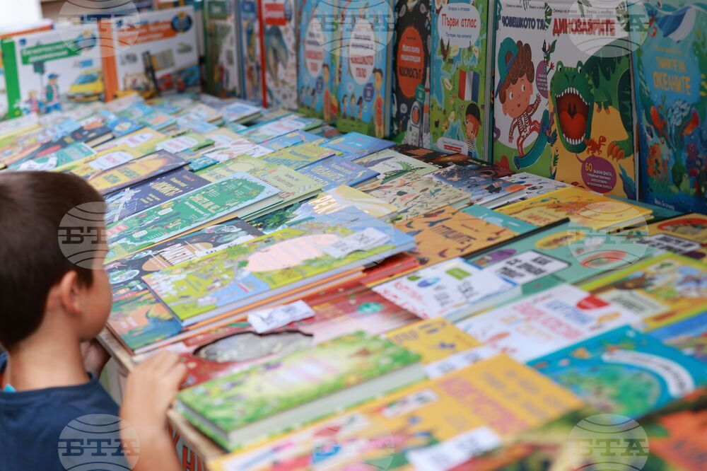 Алея на книгата 2024